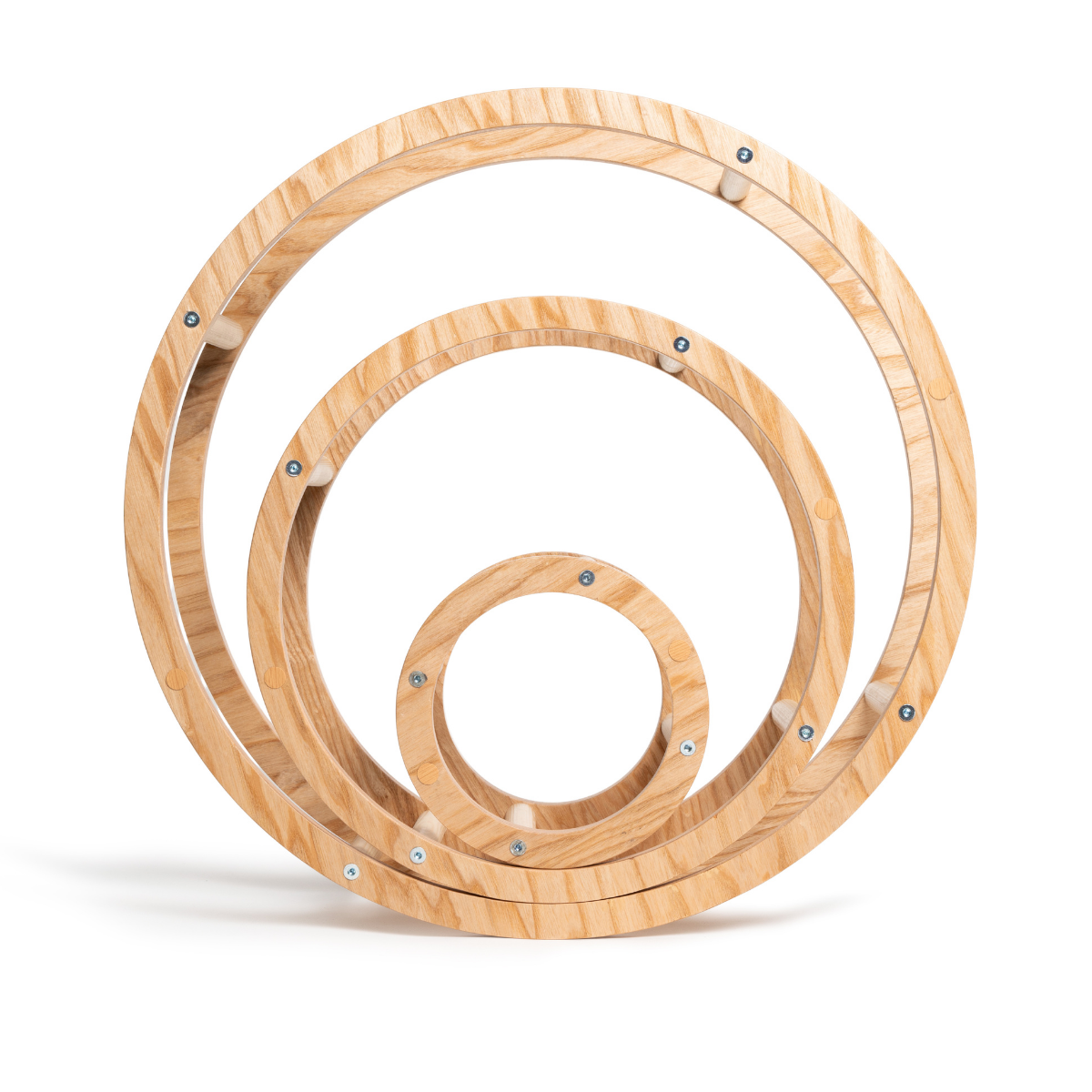 Montessori wooden rings set for children with different dimensions